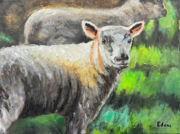 Sheep In Ireland Art | Gary Edens