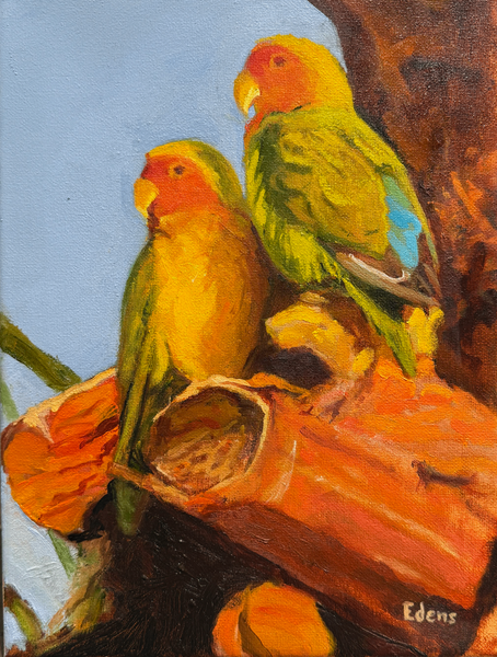 Peach Faced Love Birds Art | Gary Edens