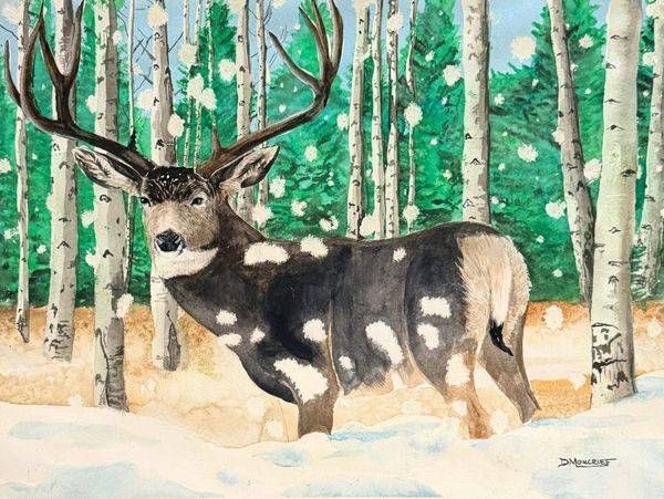 Wildlife