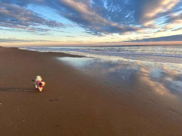 Finn's Tides