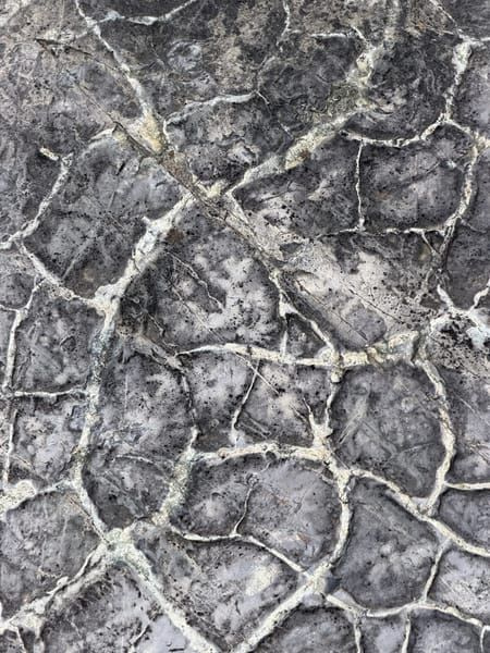 Natural World