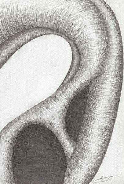 Held 001   Prints Art | Abigail Van Den Brink Artist