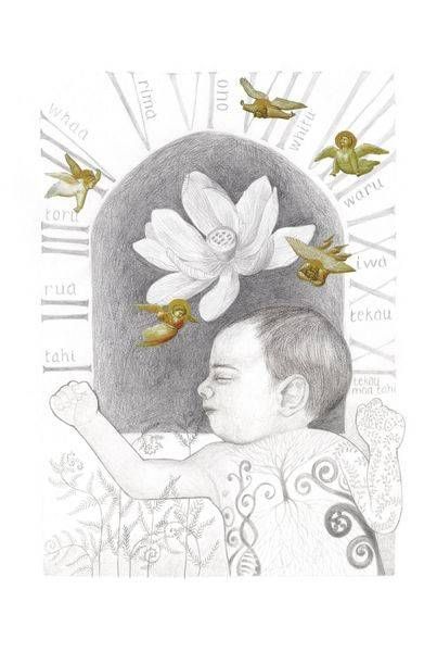 Illustrations