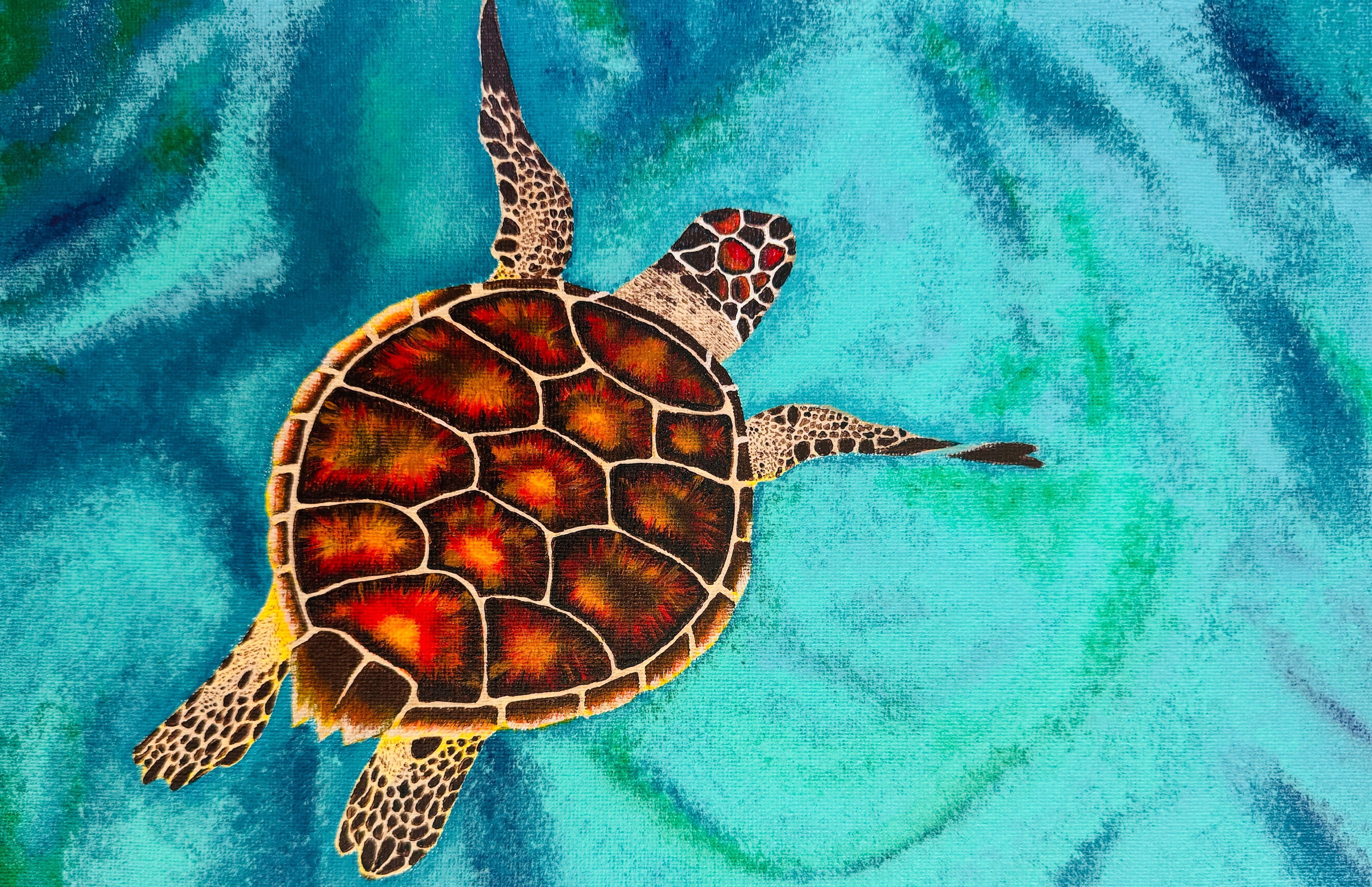 
        <div class='title'>
          Zakynthos Turtle
        </div>
       