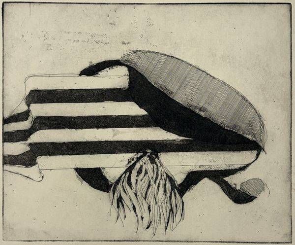 Striped Fragment