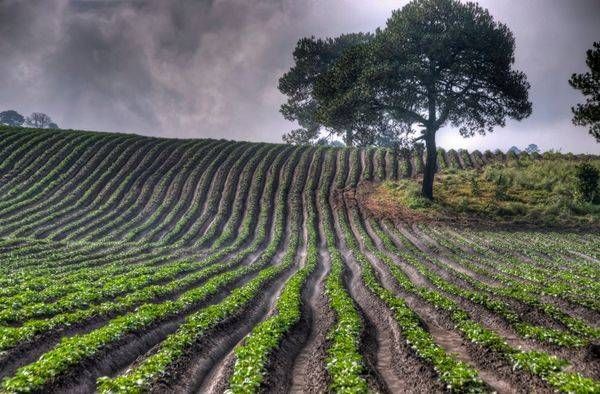 Landscapes