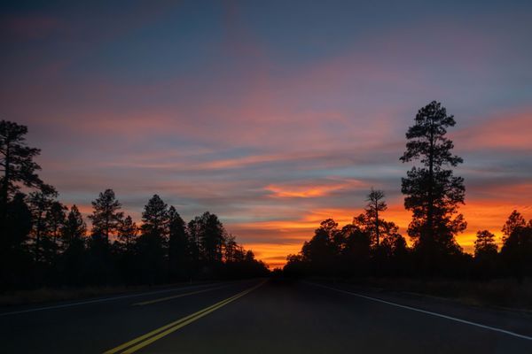 Landscapes
