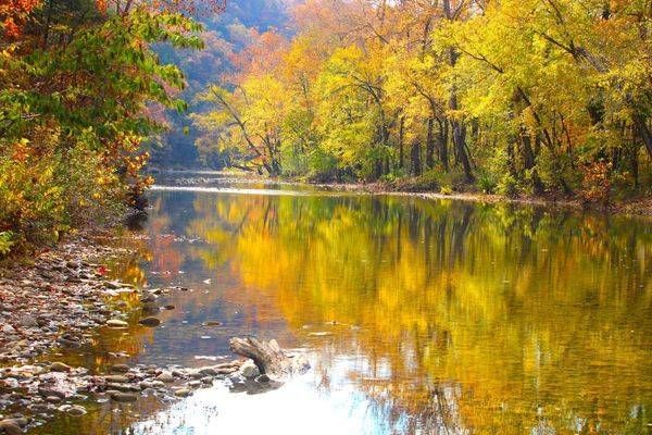 WHITE RIVE