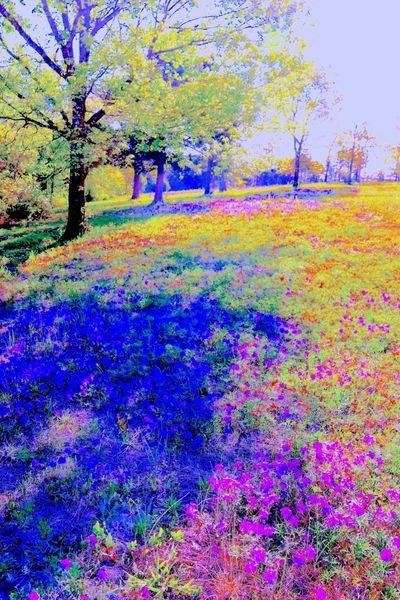 SPRINGTIME