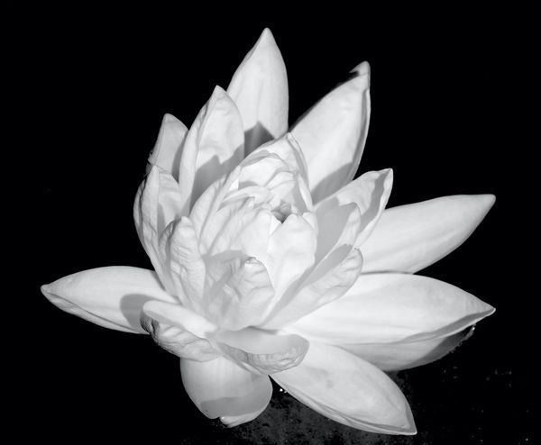 B&W Photos