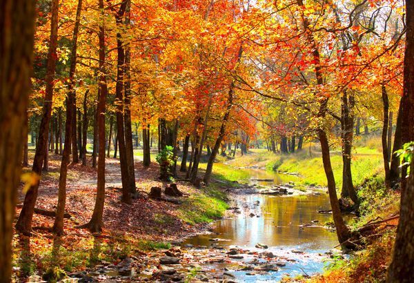 Photo - Landscapes