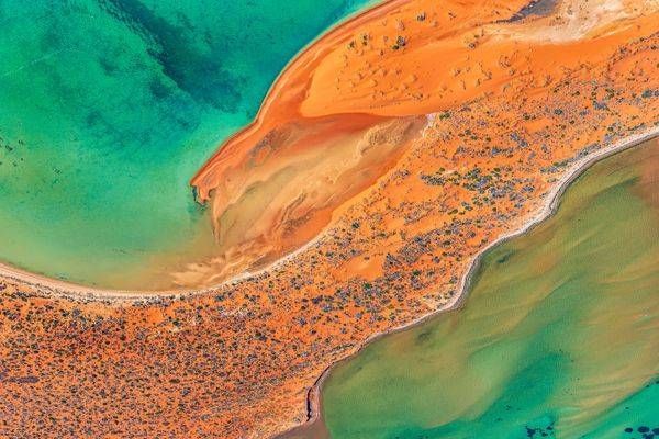 The Shark Bay Jaguar Photography Art | PBR IMAGES