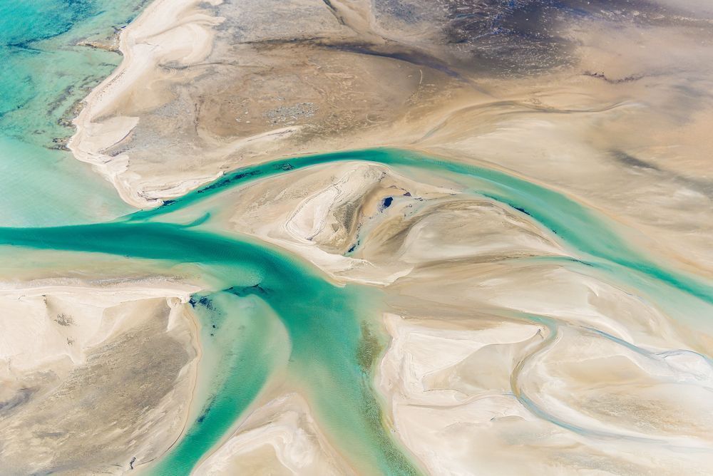 The Estuarine Vein Photography Art | PBR IMAGES
