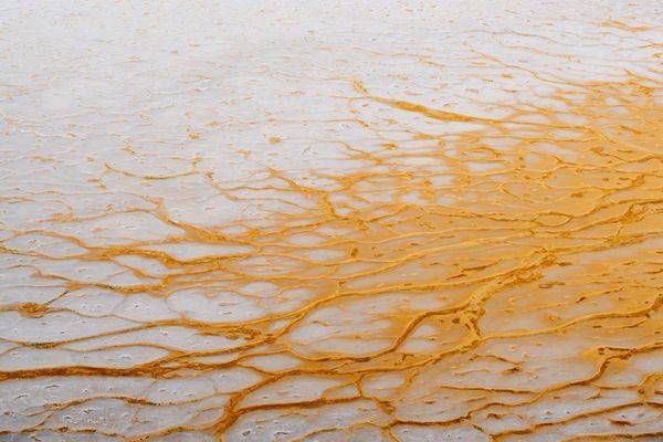 The Gilded Crust Photography Art | PBR IMAGES