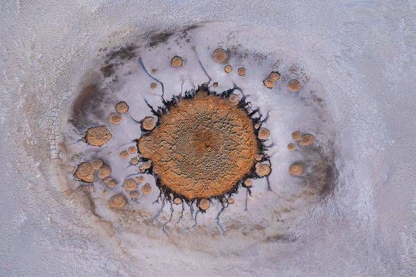 The Ancestral Bloom Photography Art | PBR IMAGES