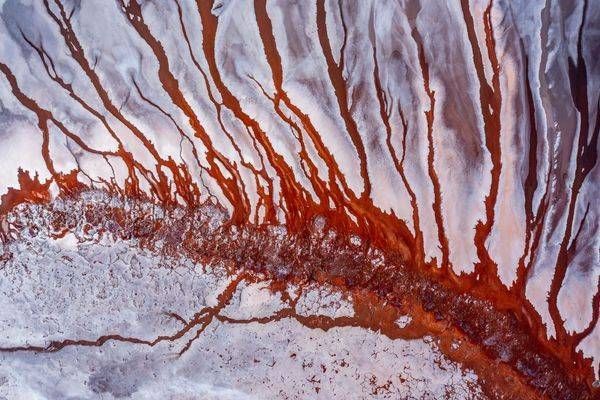 Mineral Channels Flare Across Lake Tyrrell In A Vivid, Branching Abstraction. Photography Art | PBR IMAGES