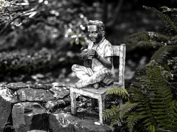Selective colour 