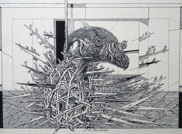 Pen & Ink