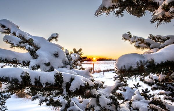 Landscape And Nature