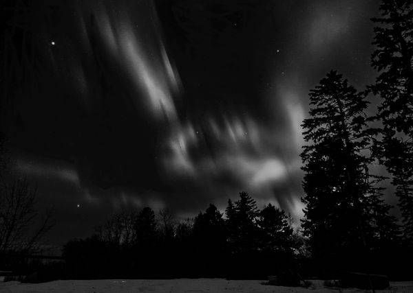 Northern Veil