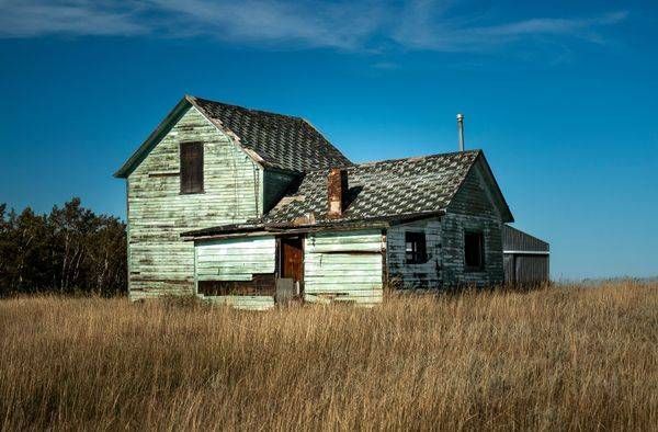 Left to the Wind