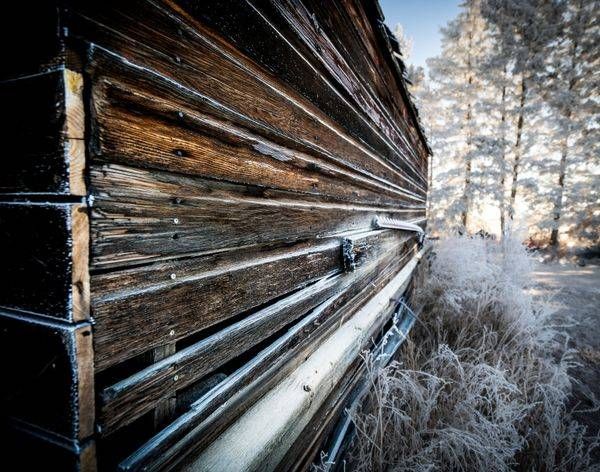 Grain of Winter