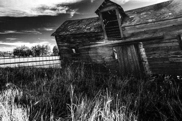 The Whisper of Timber