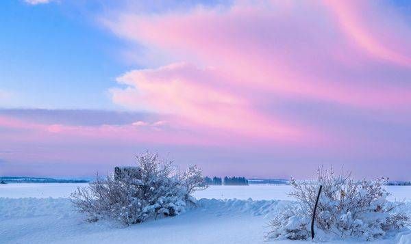 A Northern March Morning