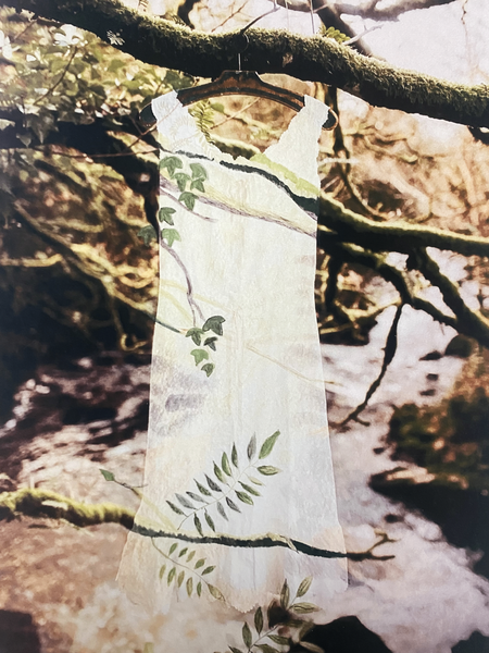 Dress Portraits