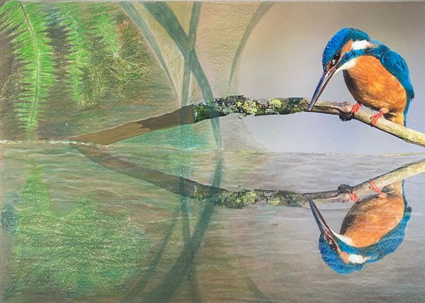 Kingfisher Blue