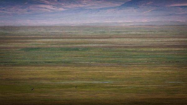 Vast Horizons