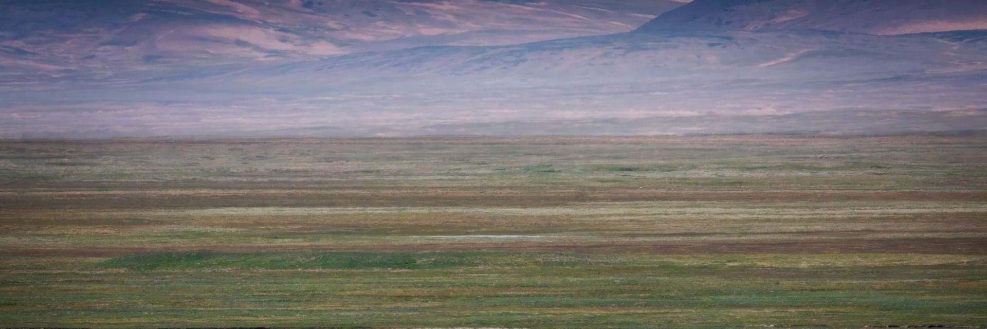 
        <div class='title'>
          Vast Horizons
        </div>
       
