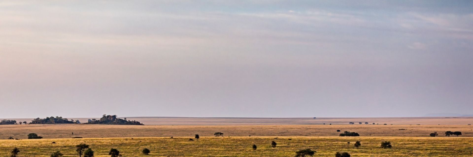
        <div class='title'>
          Scale Of Life
        </div>
       