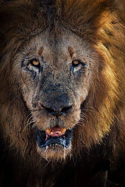 Power