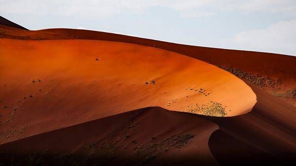 Desert Curve