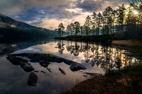 Landscape