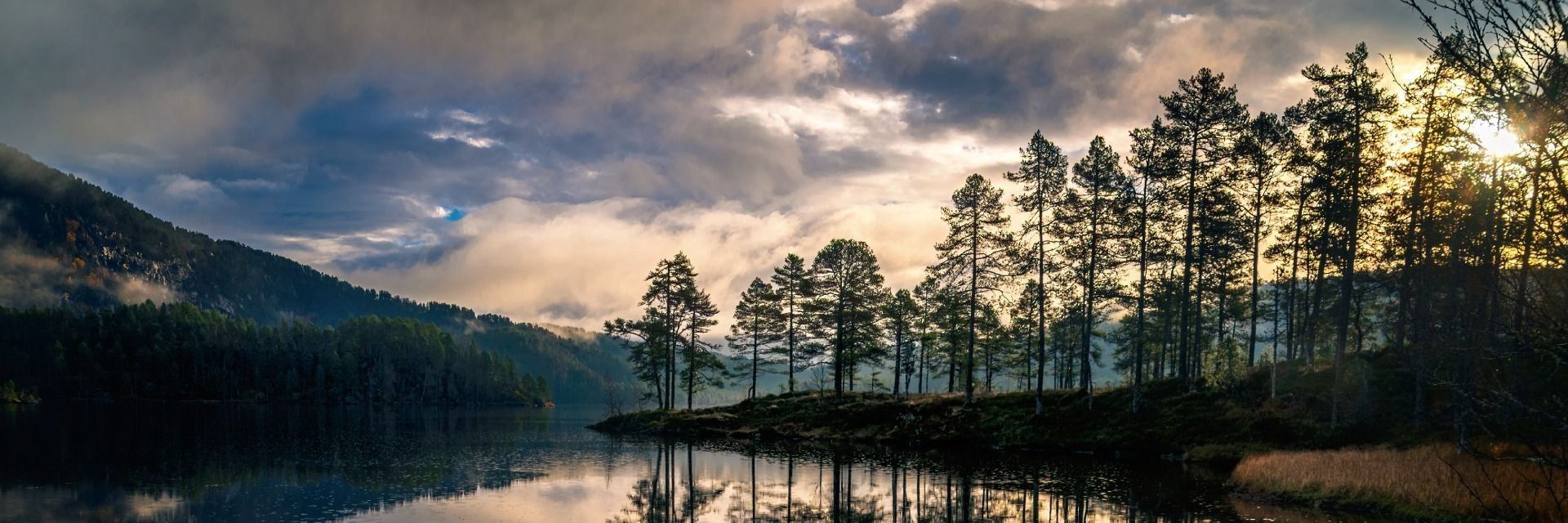 
        <div class='title'>
          Reflected Calm
        </div>
       