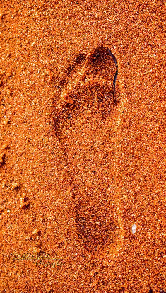 Dsc 8283 Mat Photography Art | Set2Rize Images