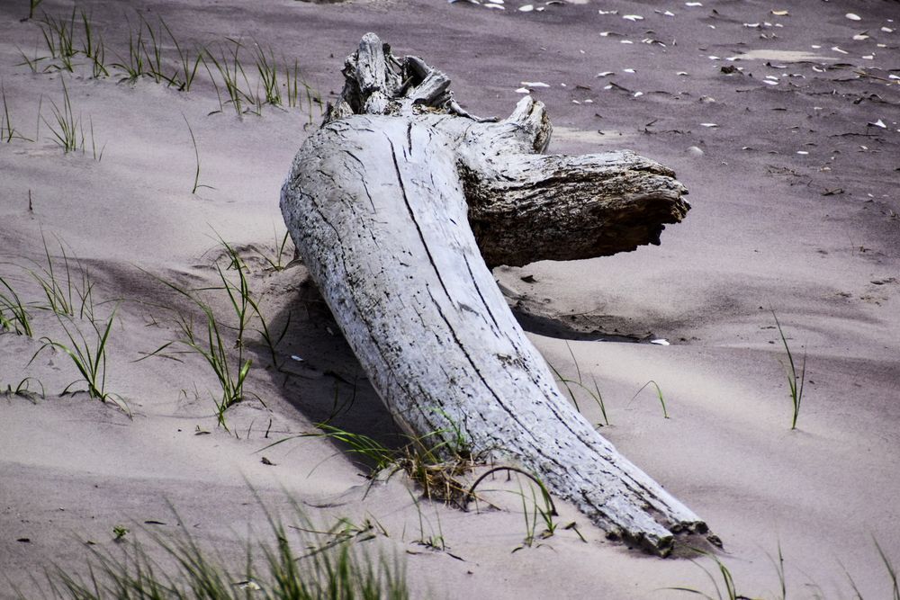 Beached Photography Art | Set2Rize Images