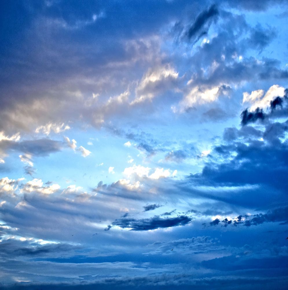 March Photography Art | Set2Rize Images