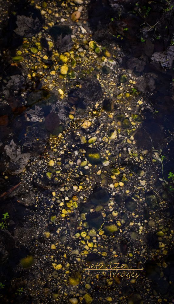 River Bed Yoga Mat Photography Art | Set2Rize Images