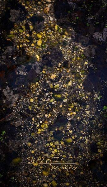 River Bed Mat1 Photography Art | Set2Rize Images