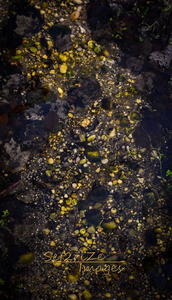 River Bed Mat1 Photography Art | Set2Rize Images