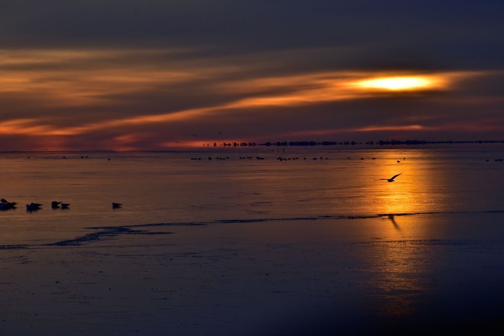 Over Ice, winter, seaside, landscape, clouds, dark, reflection, calm, frozen, ice, stark, sunrise serene, birds, noir