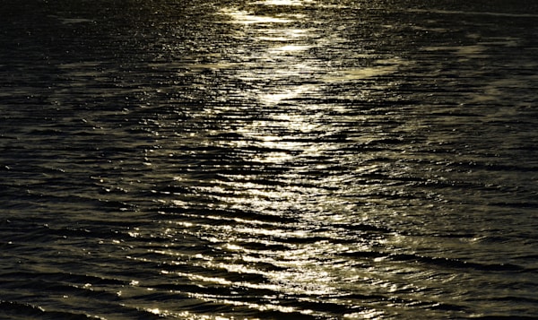 Black Chrome, noir, dark,Moonlight, reflection, waters, stark, serene