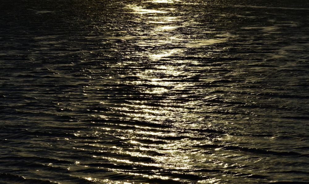 Black Chrome, noir, dark,Moonlight, reflection, waters, stark, serene
