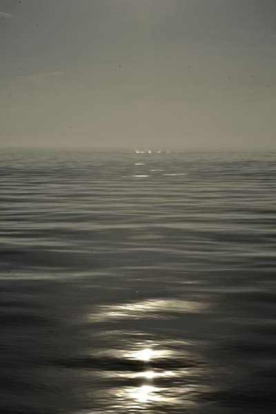 reflections on dark waters