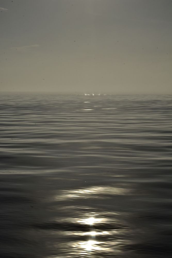 reflections on dark waters