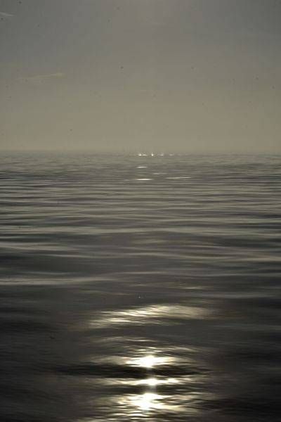 Fog Noir Photography Art | Set2Rize Images