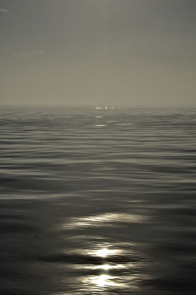 Fog Noir Photography Art | Set2Rize Images